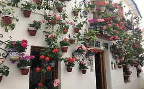 Buhardilla de Wallada Córdoba